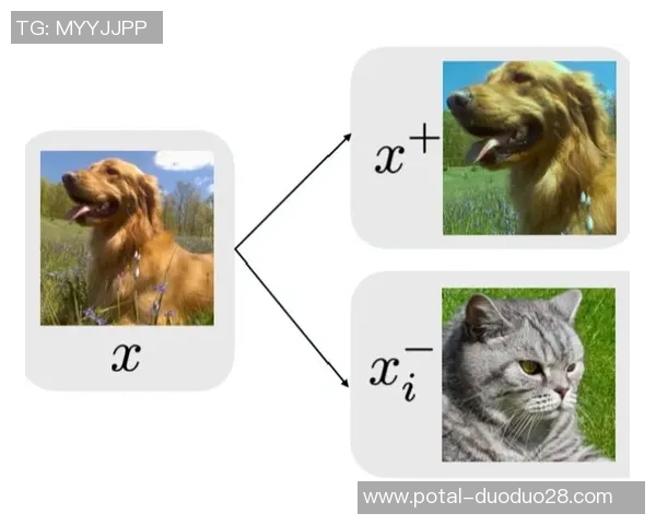 广州攀岩队的训练节奏与成绩表现深度对比分析 广州攀岩队的训练节奏与成绩表现深度对比分析